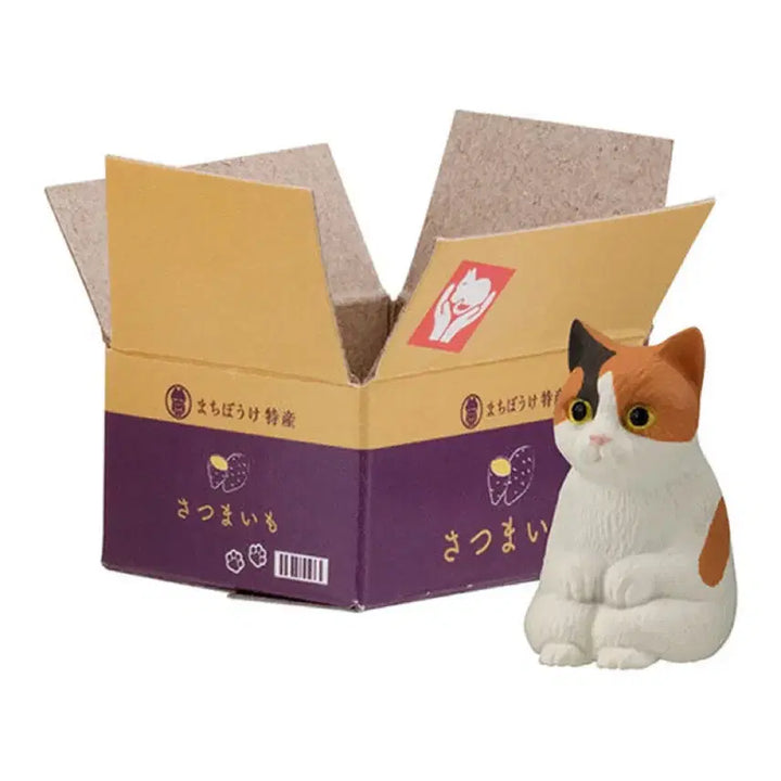 [BUNJANG] Bandai Machiboke Cat Figure / 반다이 마치보케 가챠 고양이 피규어 언제오려나 마치보우케 상자 냥이 삼색이 동물