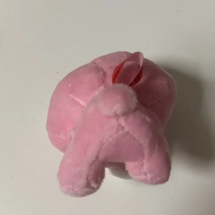 [BUNJANG] Glumi Bear Gacha Plush Toy / 글루미베어 가챠 누이