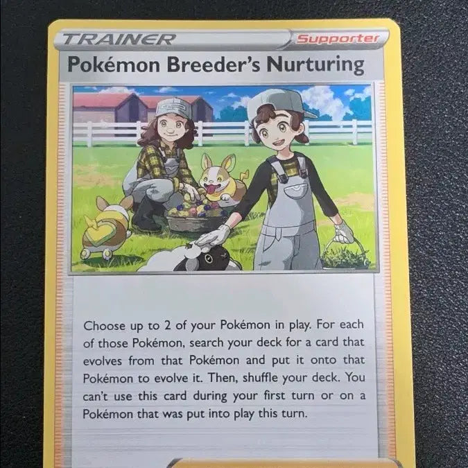 [BUNJANG] Pokemon Trading Card Game - North American Pokemon Breeder&