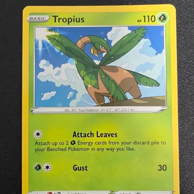 [BUNJANG] Pokemon Card North America Trophies 005/072 / 포켓몬 카드 북미 트로피우스 005/072