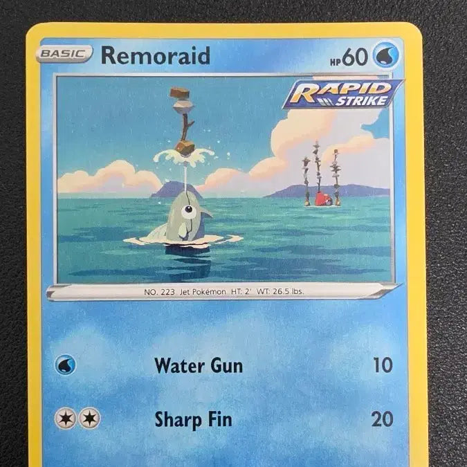 [BUNJANG] Pokemon Card North American / 포켓몬 카드 북미 총어