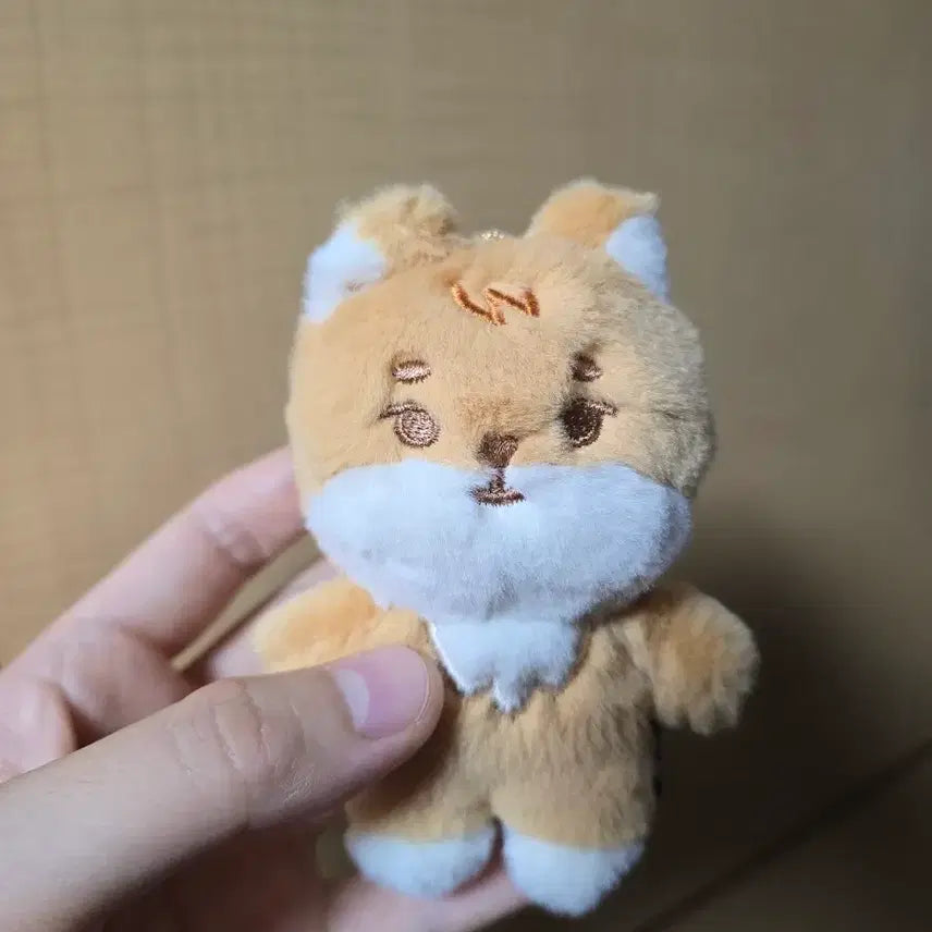 [BUNJANG] Day6 Petitmerdz Kiyom Doll Keyring / 데이식스 쁘띠멀즈 케 인형 키링