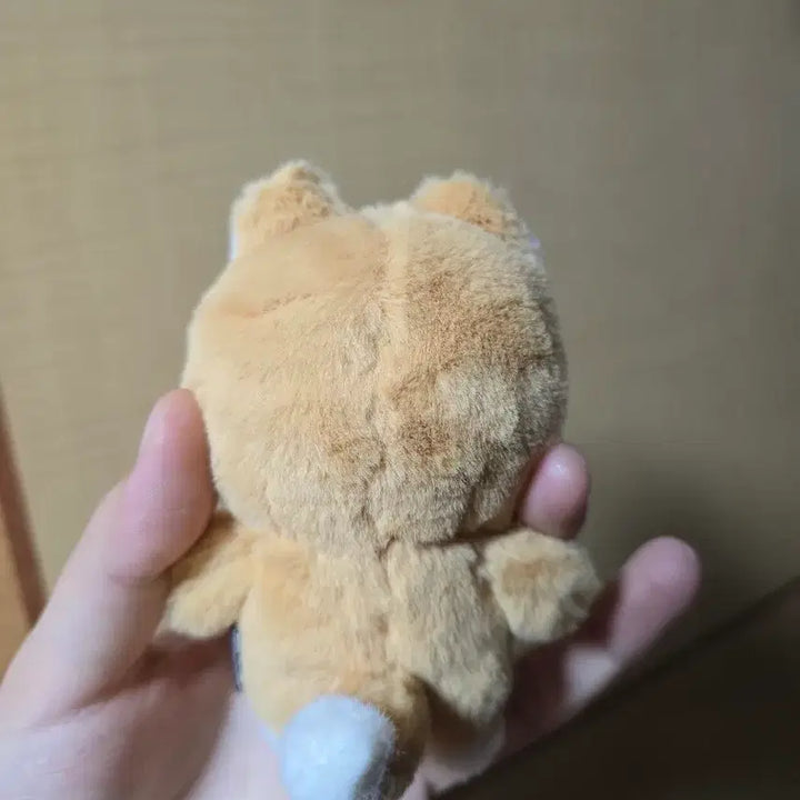 [BUNJANG] Day6 Petitmerdz Kiyom Doll Keyring / 데이식스 쁘띠멀즈 케 인형 키링