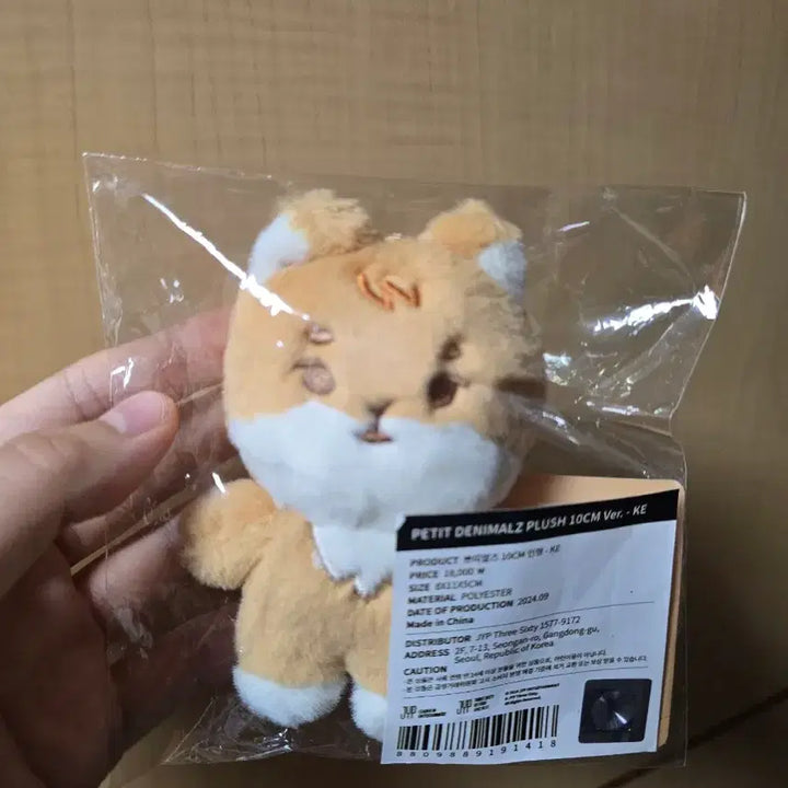 [BUNJANG] Day6 Petitmerdz Kiyom Doll Keyring / 데이식스 쁘띠멀즈 케 인형 키링