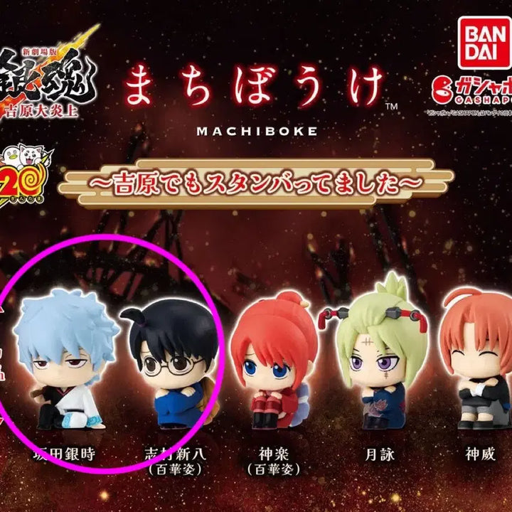 [BUNJANG] Gintama Machiboke Gintoki Shinpachi Bundle Set (Unsealed) / 은혼 마치보케 요시와라 긴토키 신파치 일괄 미개봉