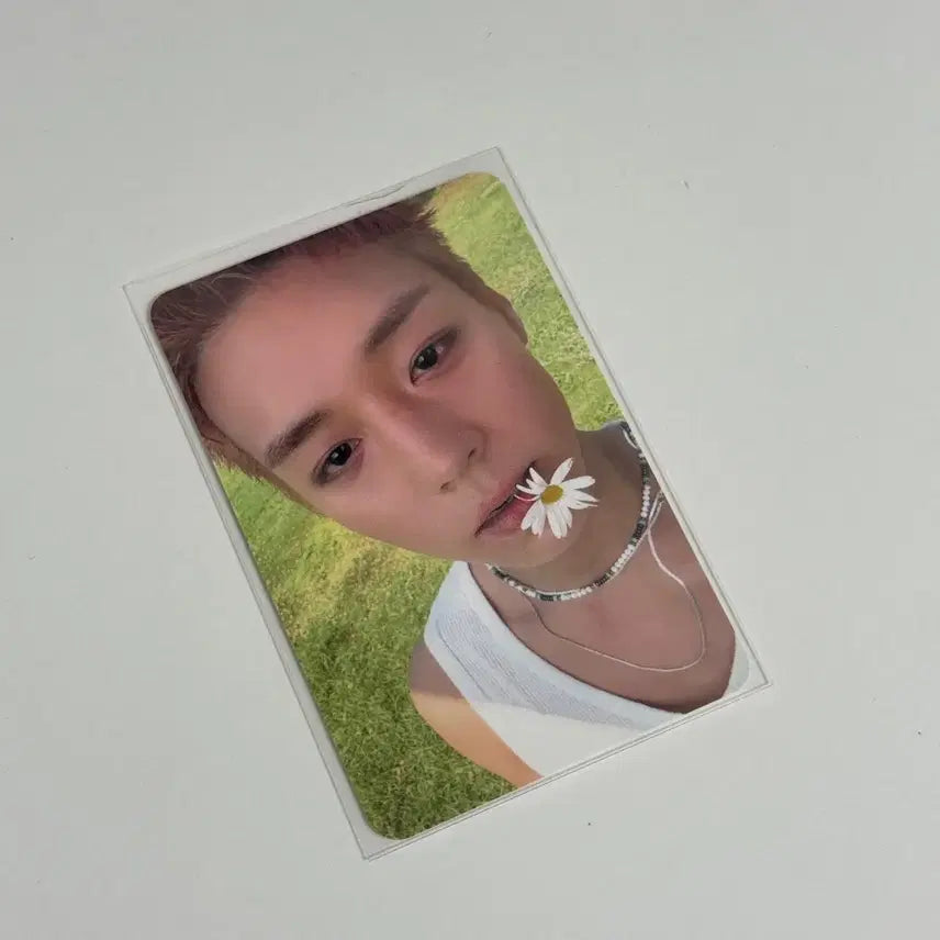 [BUNJANG] Park Jihoon Reflect Popup Photocard / 박지훈 리플렉트 팝업 5만원 포카 양도