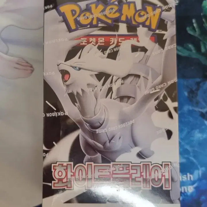 [BUNJANG] Pokemon Card Black Kyurem &amp; White Kyurem Booster Boxes (2 Boxes) / 포켓몬카드 블랙볼트, 화이트 플레어 총 2박스