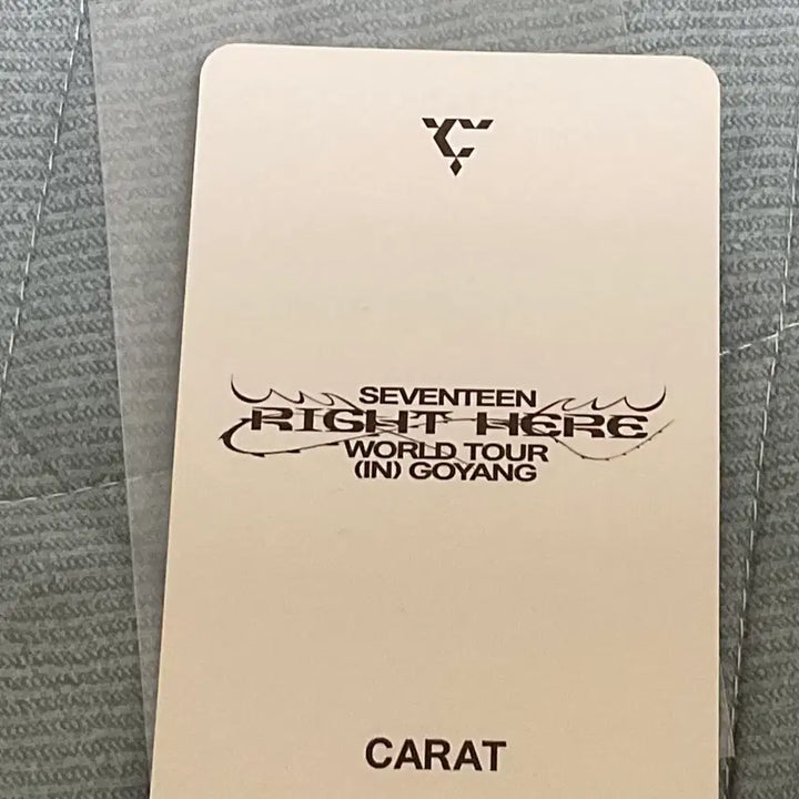 [BUNJANG] SEVENTEEN THE8 Light Stick Carat Zone / 세븐틴 디에잇 라잇히어 고양콘 캐럿존
