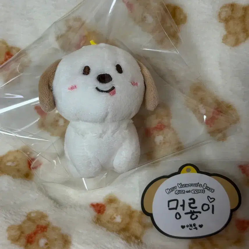 [BUNJANG] RIIZE Anton "Meongryong" 1st Gen Doll Goods Valentine Keychain / 라이즈 앤톤 멍룡이 1기 10cm 인형 굿즈 엠디 발렌타인 키링