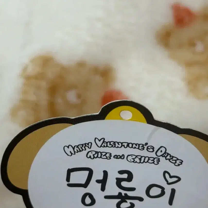 [BUNJANG] RIIZE Anton "Meongryong" 1st Gen Doll Goods Valentine Keychain / 라이즈 앤톤 멍룡이 1기 10cm 인형 굿즈 엠디 발렌타인 키링