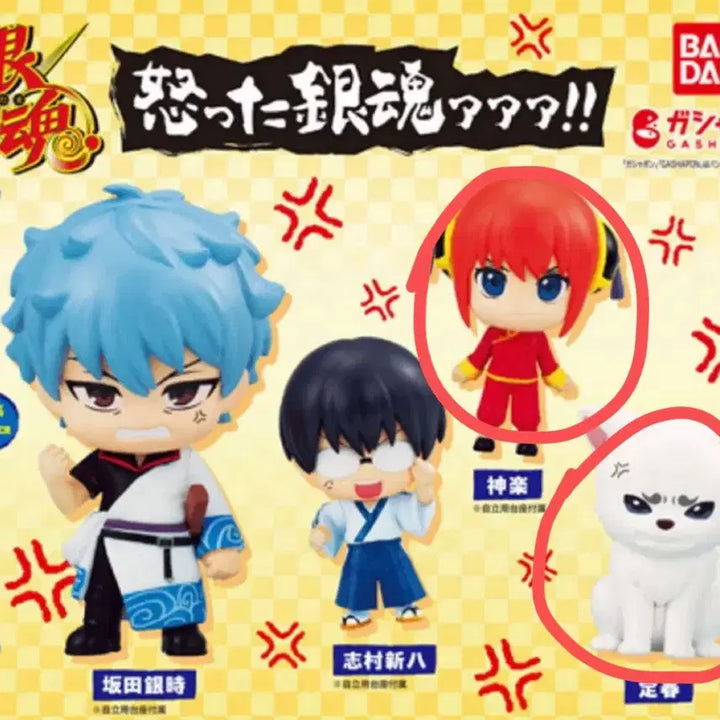 [BUNJANG] Gintama Okkota Kagura Sadaharu Bundle Set / 은혼 오콧타 화났어 카구라 사다하루 일괄