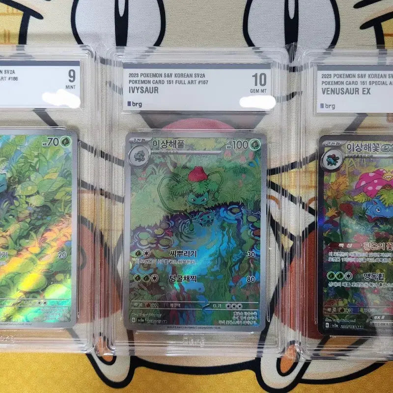 [BUNJANG] Pokemon Card 151 Bulbasaur/Ivysaur/Mega Venusaur EX BRG Full Set Bundle / 포켓몬카드 151 이상해씨/이상해풀/메가이상해꽃 EX brg 등카 세트
