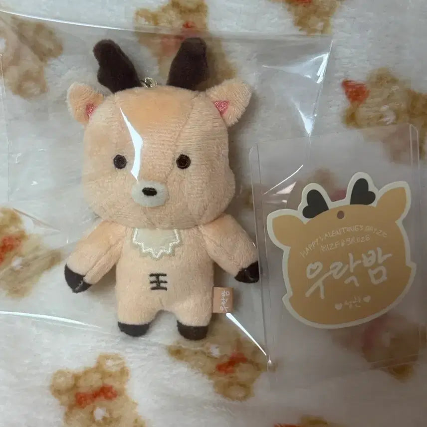 [BUNJANG] RIIZE Sungchan 10cm Doll Valentine&