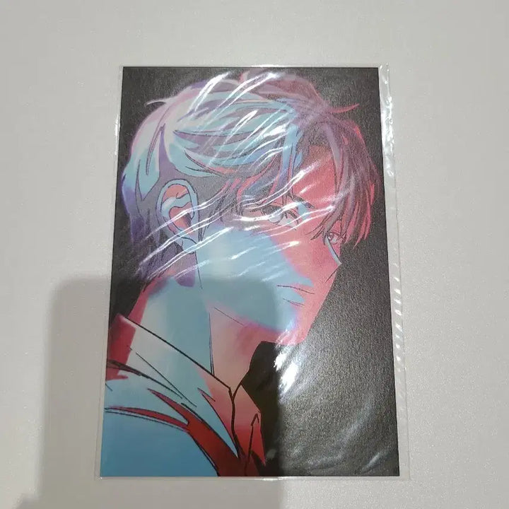 [BUNJANG] Slam Dunk Postcard Set / 슬램덩크 엽서
