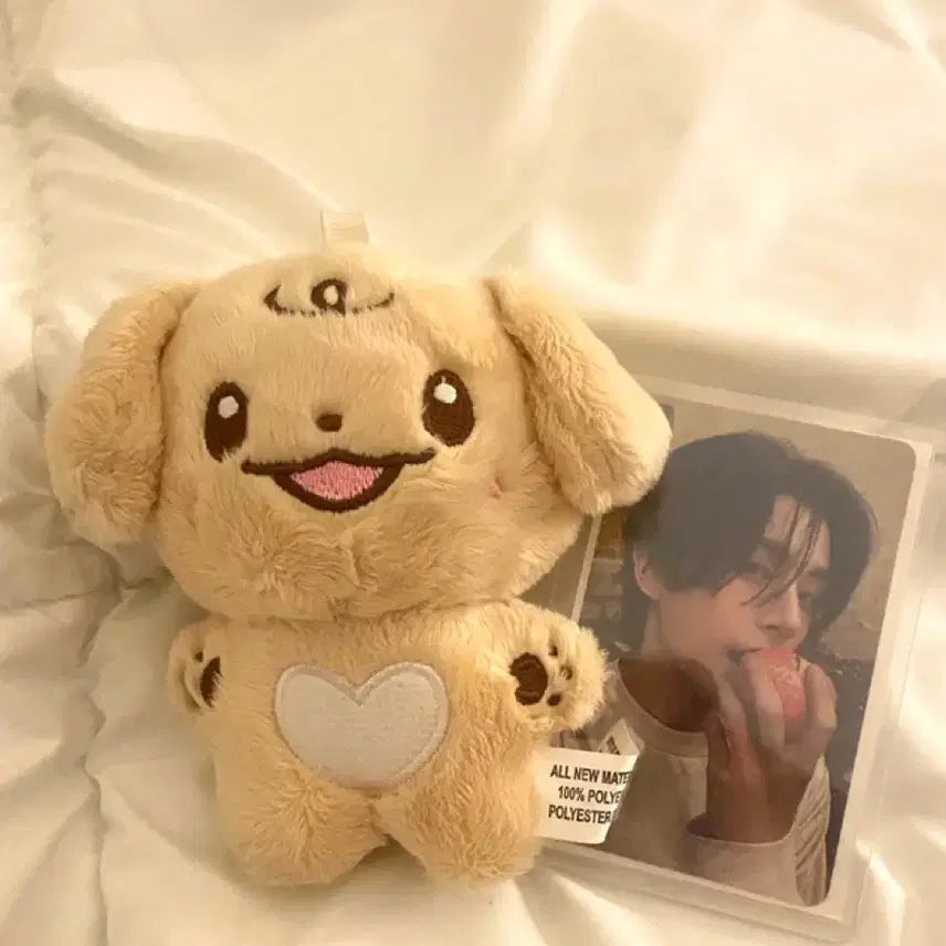 [BUNJANG] ENHYPEN Jake "Simmongi" Plush Doll / 엔하이픈 제이크인형 심뭉이 판매