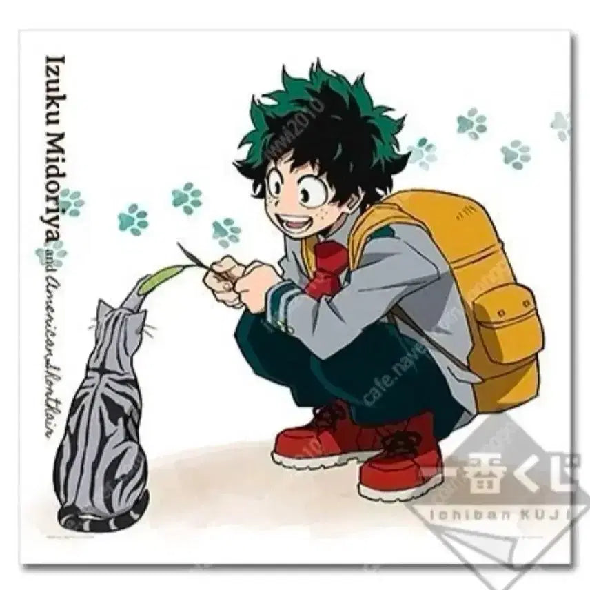 [BUNJANG] My Hero Academia Izuku Midoriya Neko Kuji Sealed / 나히아 히로아카 미도리야 네코쿠지