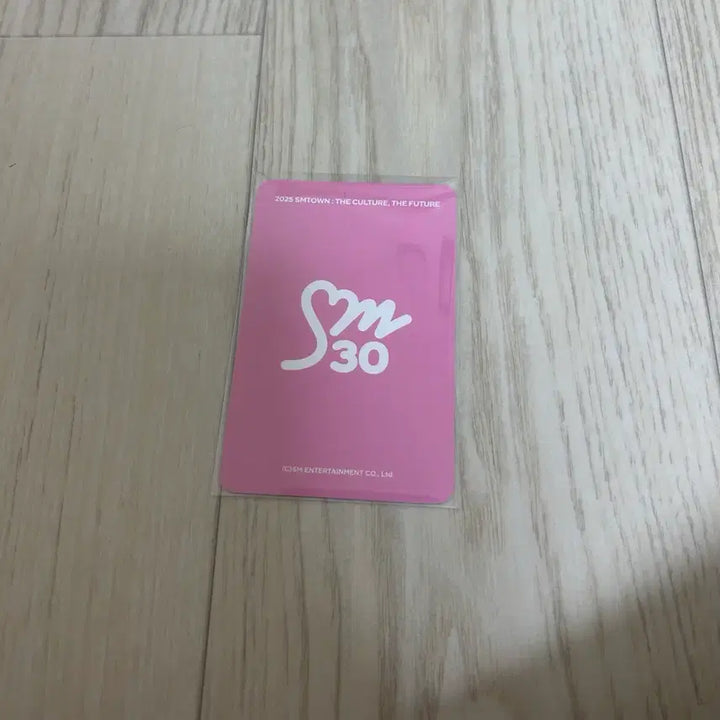 [BUNJANG] Red Velvet Wendy 2025 SM Town KETFAPO Lucky Draw Photocard / 판매) 2025 sm타운 케타포 럭드 웬디