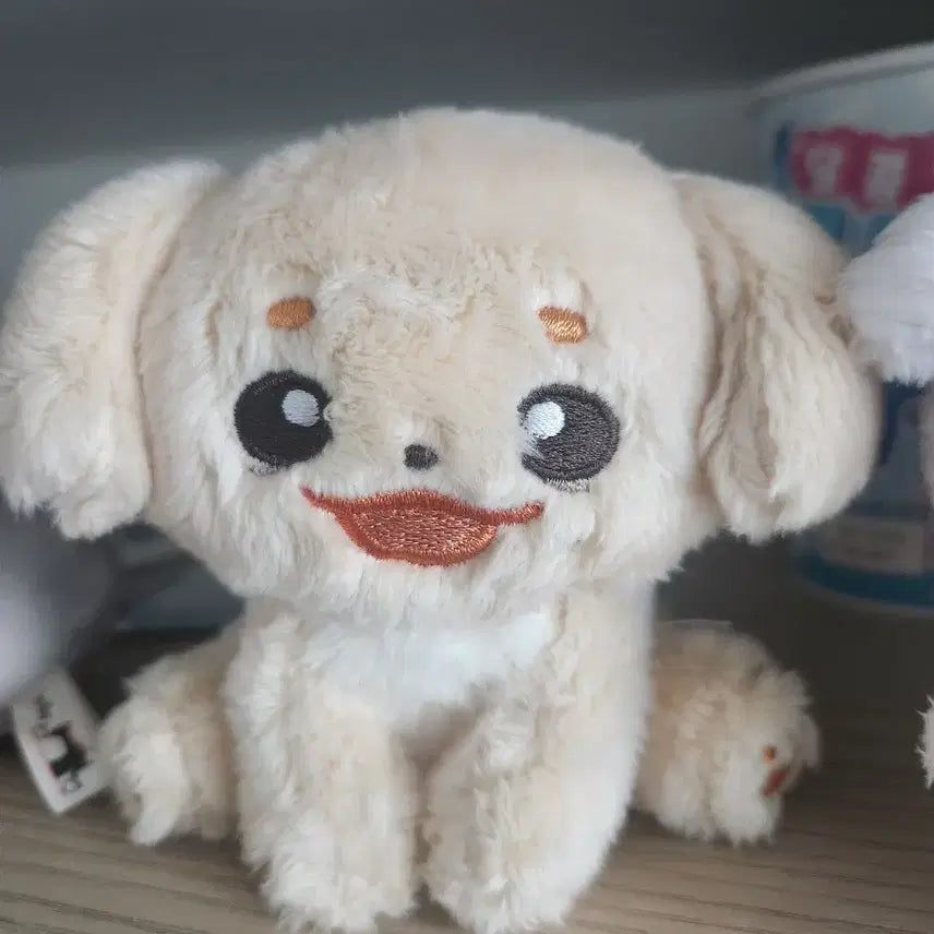 [BUNJANG] LUCY Jomongi Plush Doll / 밴드 루시 쪼멍이