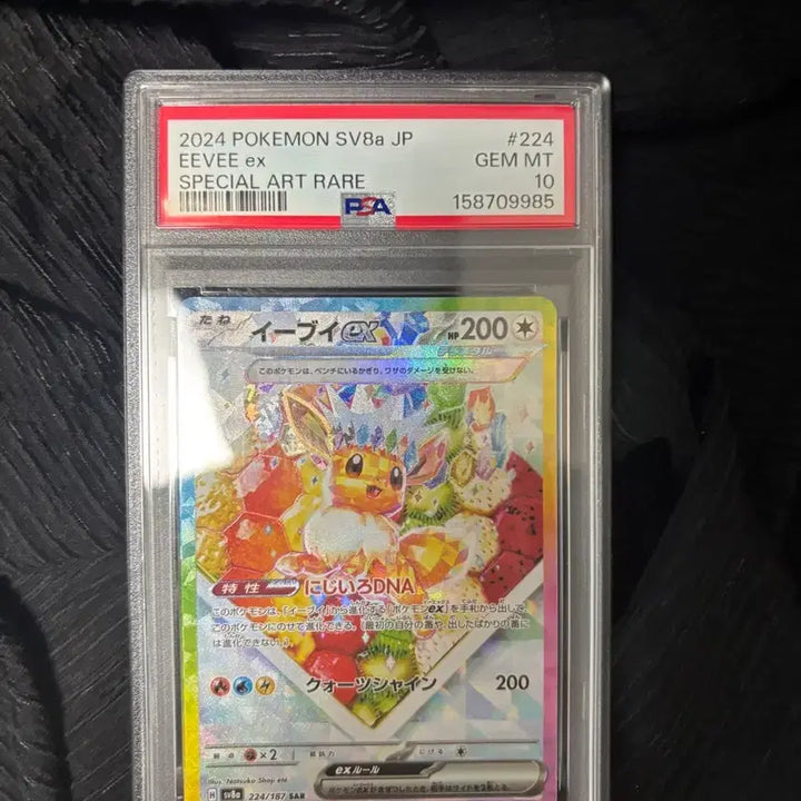 [BUNJANG] Eevee Terra Stall SAR PSA 10 (Japan Edition) / (일본판)이브이 테라스탈 SAR PSA10