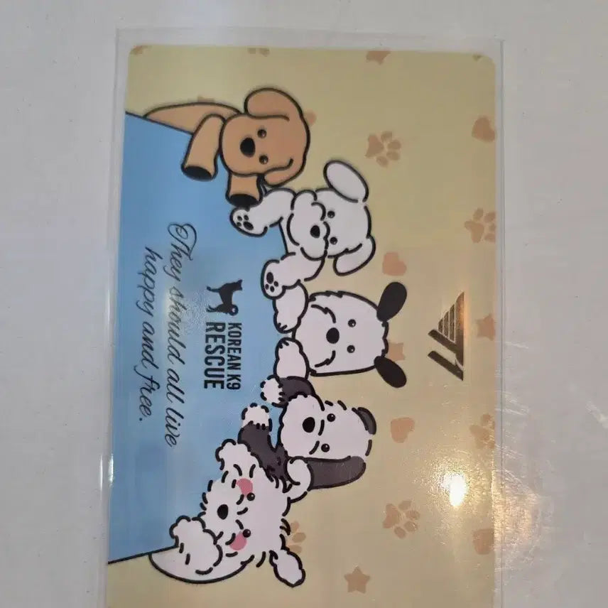 [BUNJANG] Home Ground Kk9r Photocard Doran / t1홈그라운드Kk9r포토카드 도란