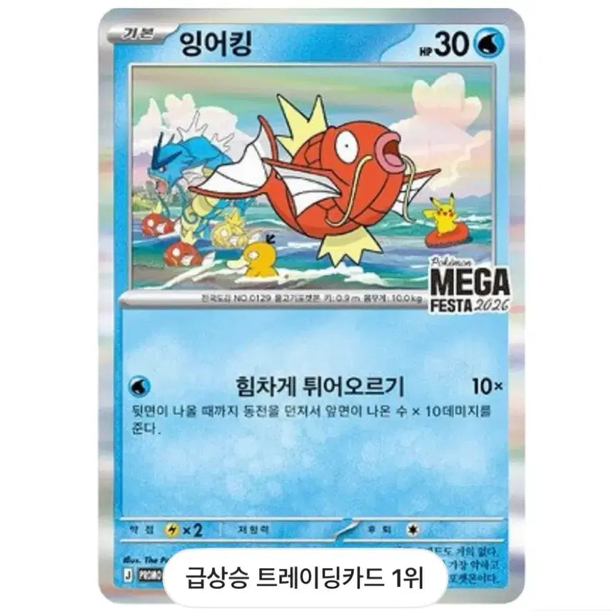 [BUNJANG] Magikarp Promo Card (Sealed) / 포켓몬스터 잉어킹 프로모 미개봉