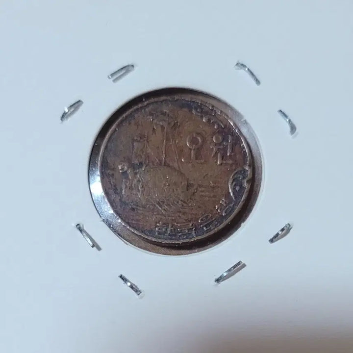[BUNJANG] 1966 South Korean 5 Won Coin / 동전 1966년 5원
