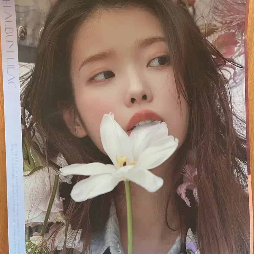 [BUNJANG] IU &