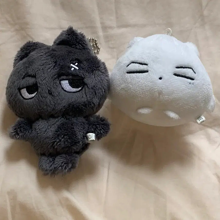 [BUNJANG] ENHYPEN Jay "Mandu Jjong" Doll Bundle Set / 엔하이픈 제이 박종성 Enhypen Jay 인형 만두쫑 일괄 양도