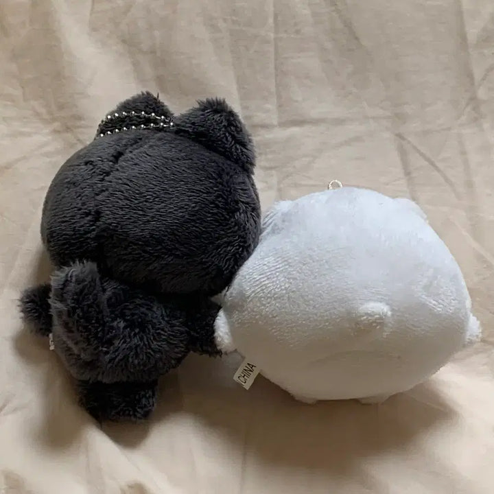 [BUNJANG] ENHYPEN Jay "Mandu Jjong" Doll Bundle Set / 엔하이픈 제이 박종성 Enhypen Jay 인형 만두쫑 일괄 양도
