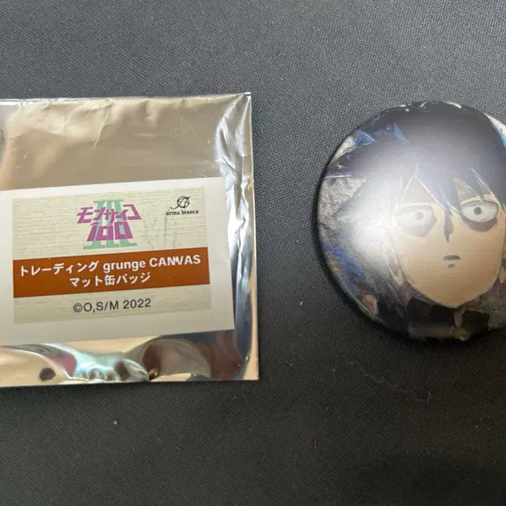 [BUNJANG] Mob Psycho 100 Ritsu Can Badge / 모브사이코100 리츠 캔뱃지