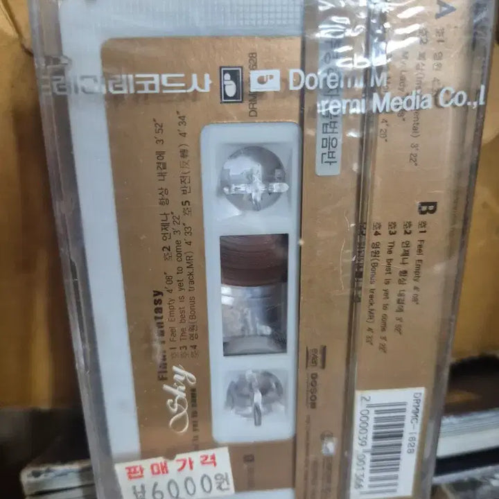 [BUNJANG] SKY 1st Album Cassette Tape (Sealed) / 스카이 1집 카세트테이프 미개봉품