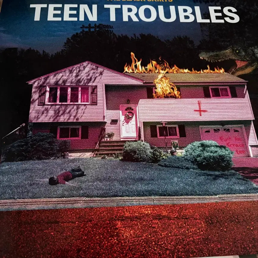 [BUNJANG] The Black Skirts Tint Trouble LP / 검정치마-틴트러블 Lp팔아요!