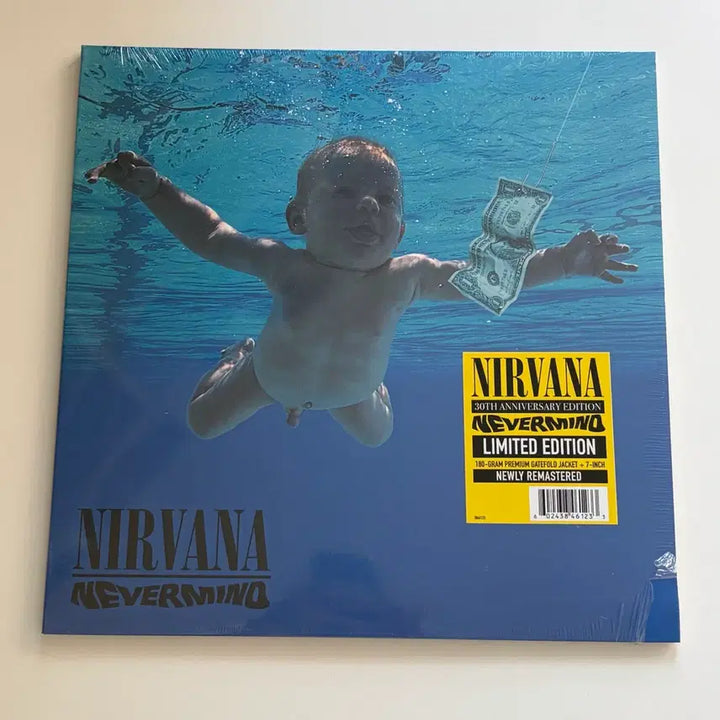 [BUNJANG] Nirvana Nevermind 30th Anniversary Limited Edition LP with 7-inch Single / 너바나 네버마인드 30주년 리미티드 에디션 LP + 7인치싱글 엘피
