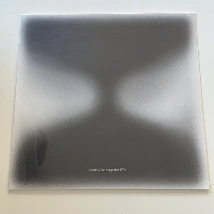 [BUNJANG] OZONE X Car, the Garden - TWO Cool Gray Colored LP / 오존 X 카더가든 - TWO [쿨 그레이 컬러 LP]