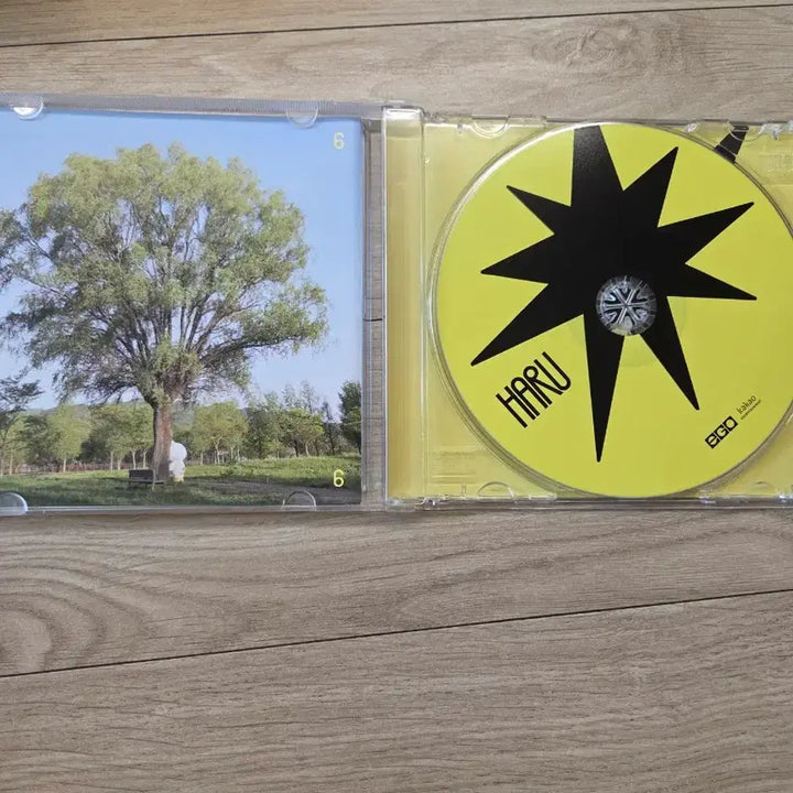 [BUNJANG] Grizzly Signed Non-Album / 인디가수 그리즐리 grizzly 친필싸인 비매앨범