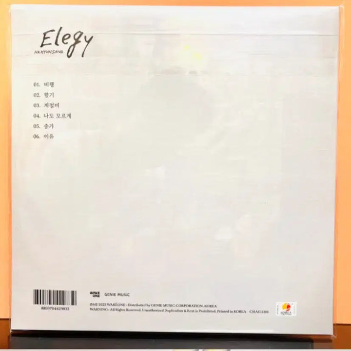 [BUNJANG] Ha Hyun Sang Elegy 180g Color LP / 하현상 Elegy 180g 컬러 LP