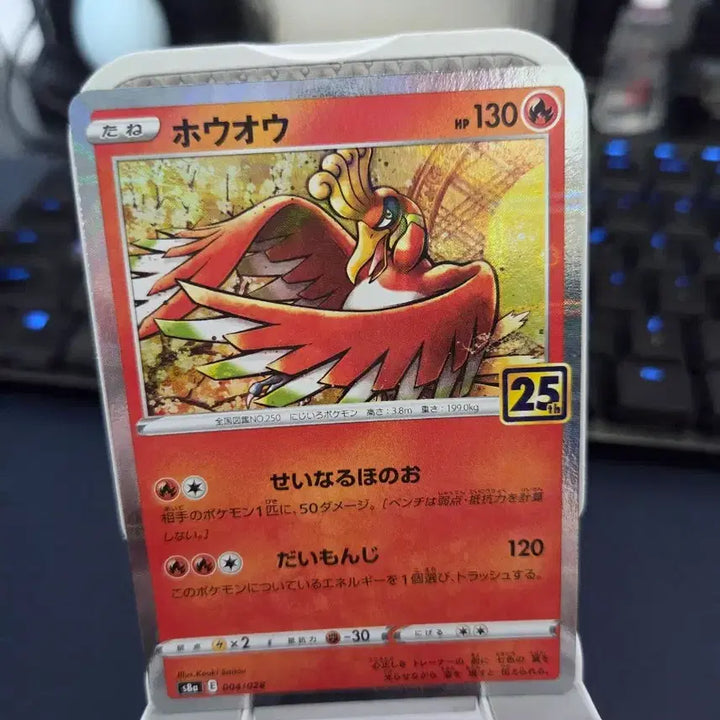 [BUNJANG] Pokemon 25th Anniversary Expansion Pack Hologram Shiny Lugia, Groudon, Kyogre / 포켓몬카드) 25주년 확장팩 홀로그램 칠색조, 그란돈, 가이오가