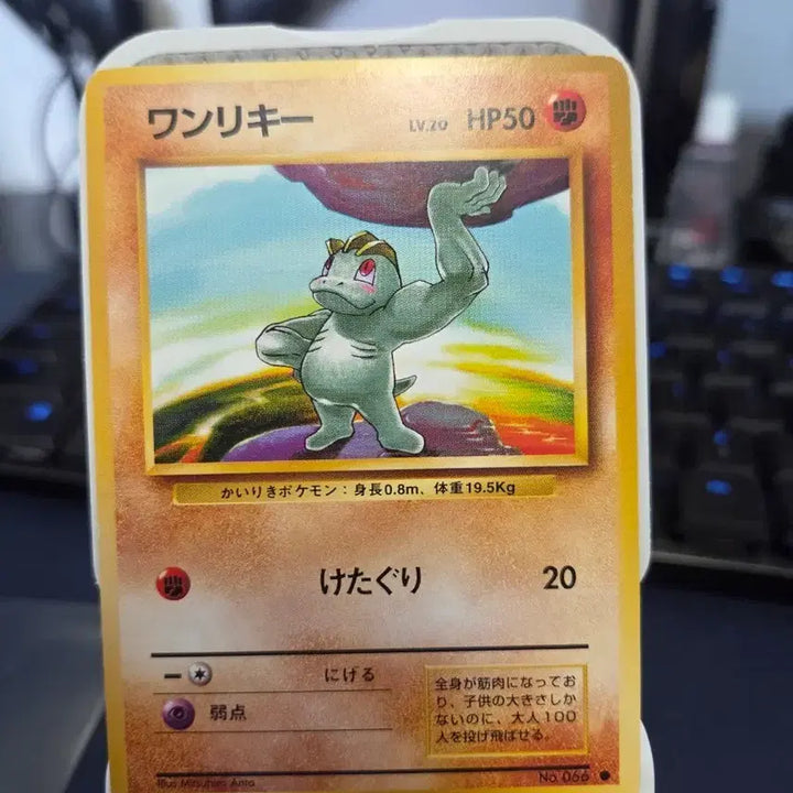 [BUNJANG] Pokemon Card 1996 1st Edition Expansion Pack Machoke / 포켓몬카드) 1996 초판 확장팩 알통몬