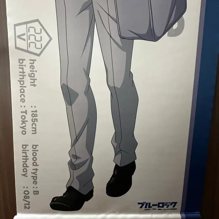[BUNJANG] Blue Lock Mikage Reo Full Body School Uniform Tapestry (Opened Display) / 개봉 전시품)블루록 미카게 레오 전신 교복 태피스트리