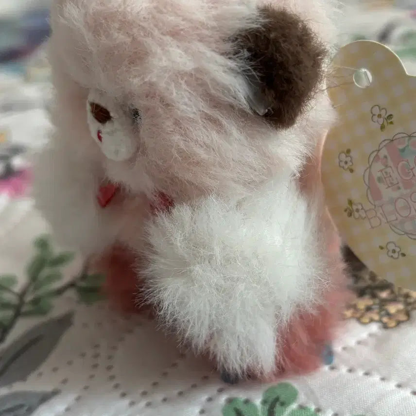 [BUNJANG] Gyeran Kkot Handmade Sea Otter Doll / 계란꽃상점 핸드메이드 해달 수제 인형