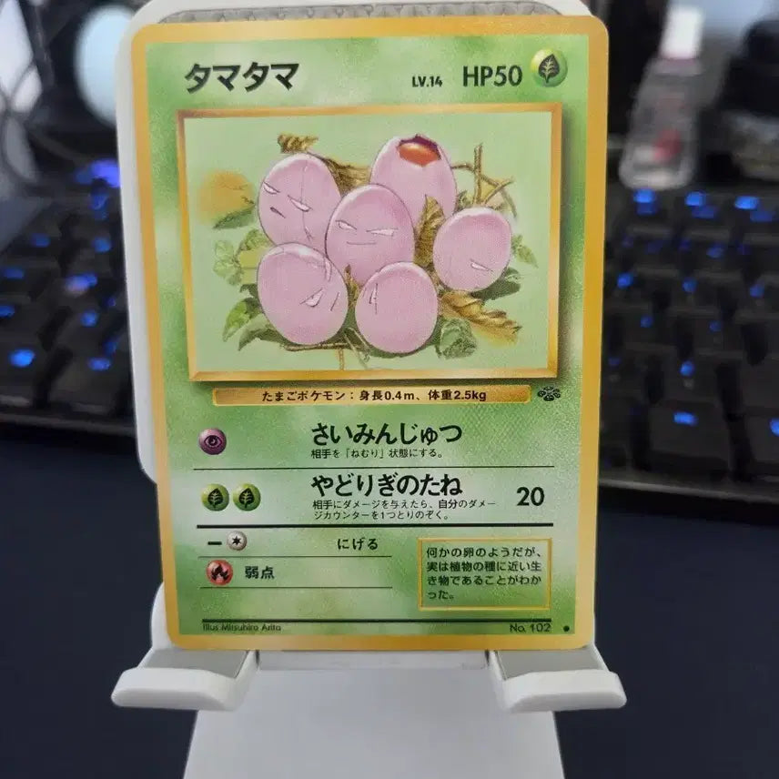[BUNJANG] Pokemon Card 1996 1st Edition Expansion Pack Ararine / 포켓몬카드) 1996 초판 확장팩 아라리