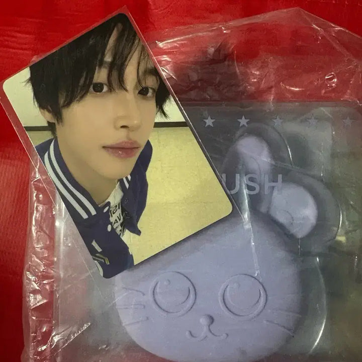 [BUNJANG] RIIZE Wonbin Scalp Brush TOYANGDEOK Lucky Draw Photocard (POB) - Sealed / 라이즈 원빈 스칼프 브러쉬 토냥덕 + 5만 특전 포카 원빈 미개봉