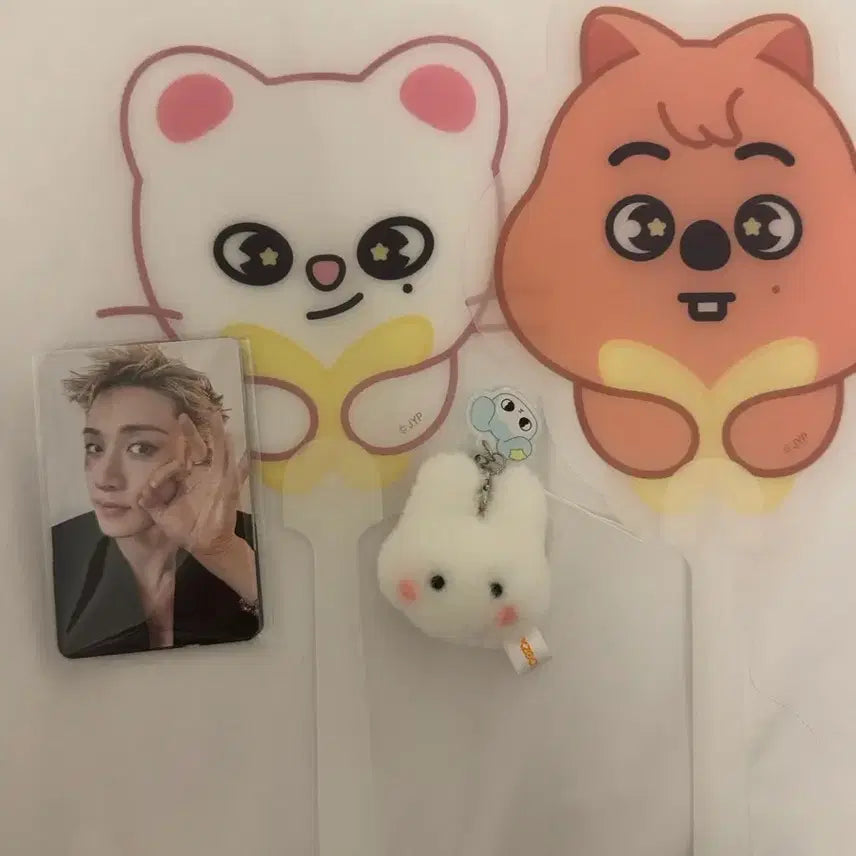 [BUNJANG] Stray Kids Concert Entrance Photocard Full Set Wolfchan, Leebit, Hanquokka / 스트레이키즈 스키즈 입장 포카 풀셋 콘서트 기프트 8월2일 일요일 막막 울프찬 리빗 한쿼카