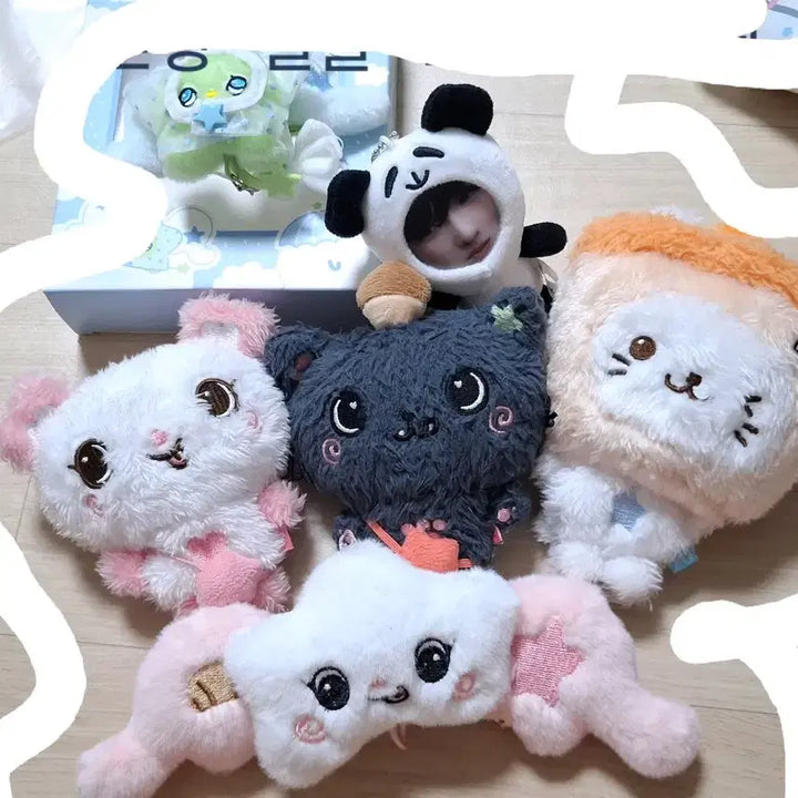 [BUNJANG] NCT WISH Bundle Set / 엔시티위시 포카, 생카굿즈 탈덕처분 일괄
