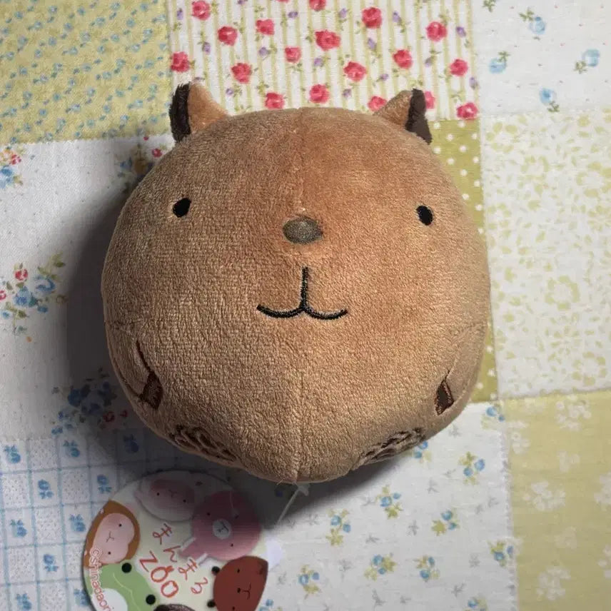 [BUNJANG] Sinada Capybara Plush / 시나다 카피바라 인형