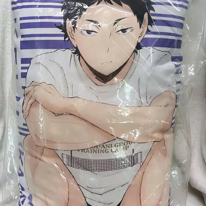 [BUNJANG] Haikyuu!! Bokuto Akaashi Double-Sided Cushion / 하이큐 보쿠토 아카아시 양면 쿠션