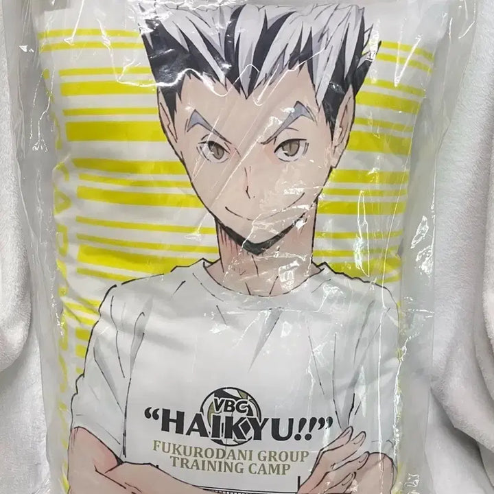 [BUNJANG] Haikyuu!! Bokuto Akaashi Double-Sided Cushion / 하이큐 보쿠토 아카아시 양면 쿠션