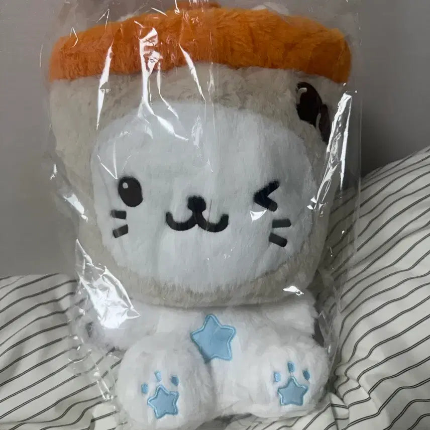 [BUNJANG] NCT WISH Yushi Bubble Cat 30cm Plush / (미개봉) NCT WISH 엔시티 위시 위시돌 유우시 버블냥 30cm