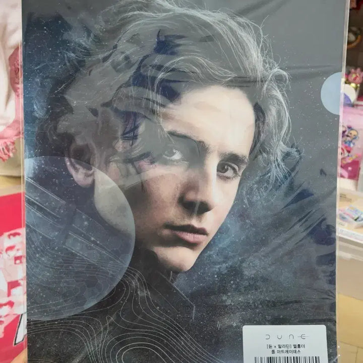 [BUNJANG] Dune Illustrated File Folder / 듄  일러스트 파일 폴더