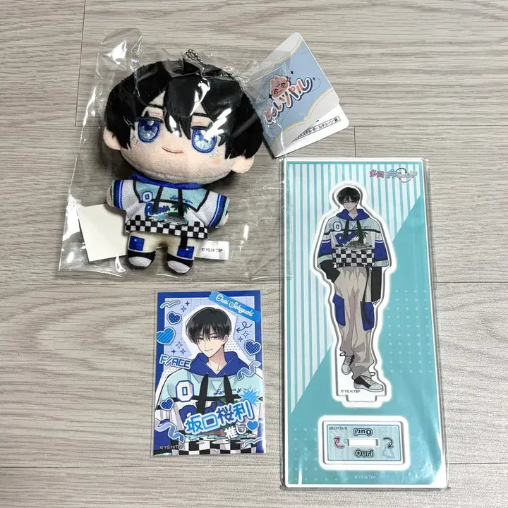 [BUNJANG] Tamontown Owori Nui Paru, Acrylic Stand, and Photocard Bundle Set / 타몬군 지금 어느 쪽 오우리 굿즈 일괄 양도 (오우리 누이파루, 아크릴, 포토카드)